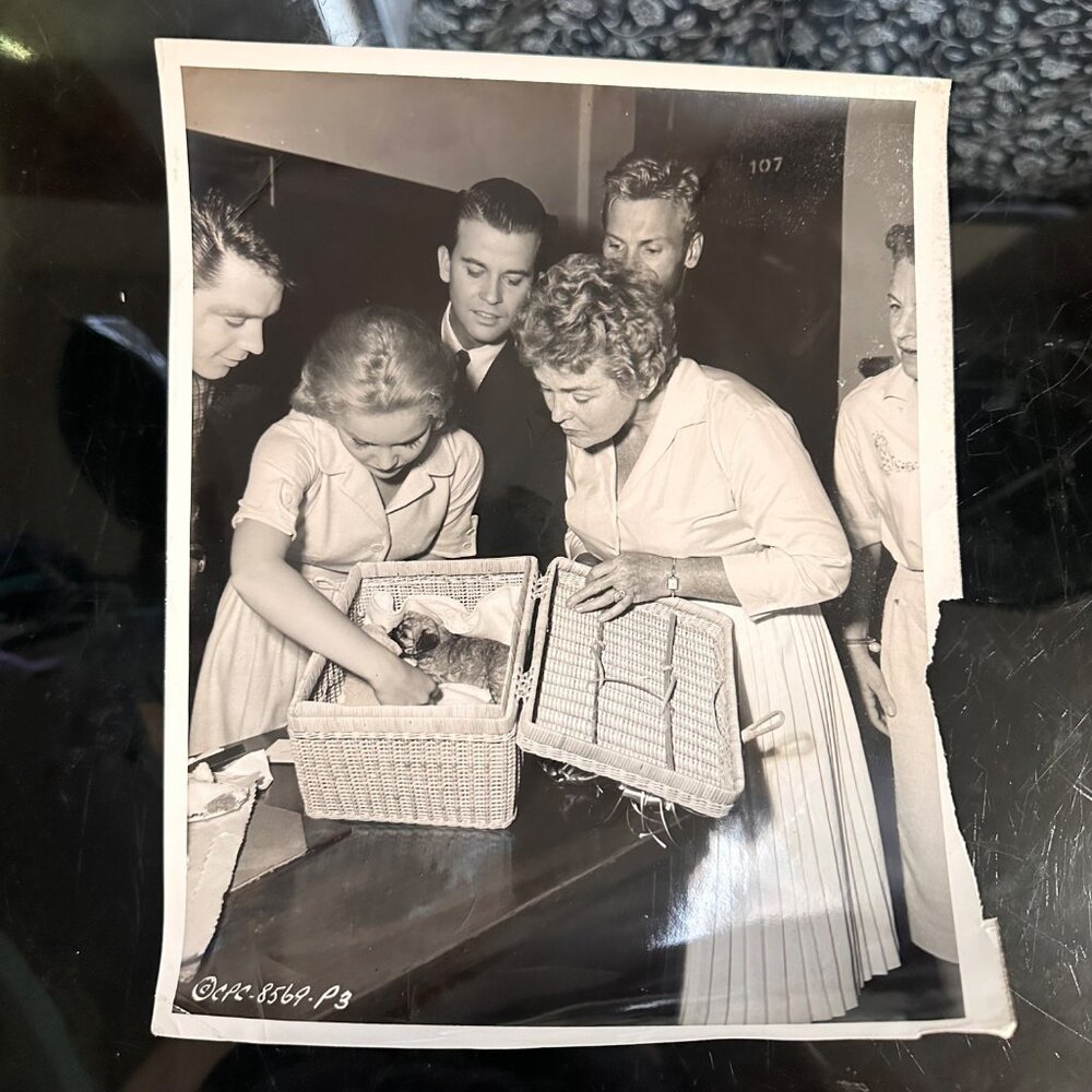 Vintage 1960 Hollywood Photo Of Tuesday Weld Dick Clark Tab Hunter & More With P - Picture 2 of 14